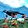 Mountain Tūī's avatar